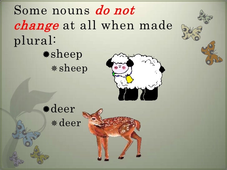 Singular & Plural Nouns