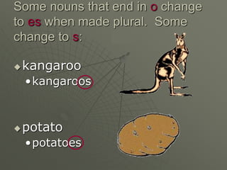 Some nouns that end in o change
to es when made plural. Some
change to s:
kangaroo
•kangaroos
potato
•potatoes
 