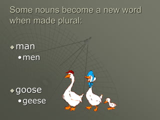 Some nouns become a new word
when made plural:
man
•men
goose
•geese
 
