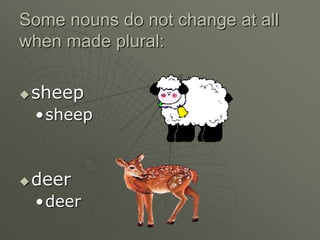 Some nouns do not change at all
when made plural:
sheep
•sheep
deer
•deer
 