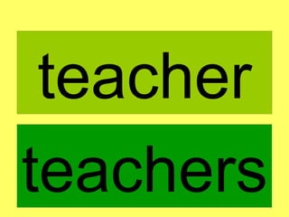 teacher teachers 