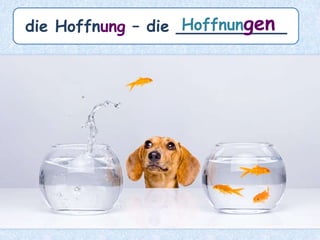 die Liebhaberei – die _____________Liebhabereien
Kükenaufzucht – Liebhaberei
 