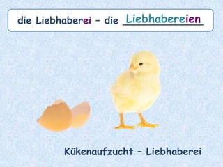 die Schwester – die ___________Schwestern
 