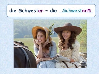 die Muschel – die ________Muscheln
 