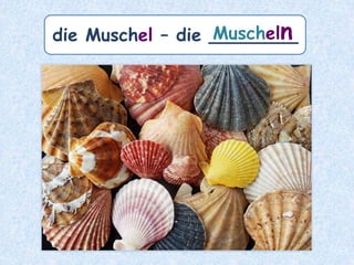 die Universität – die ___________Universitäten
 