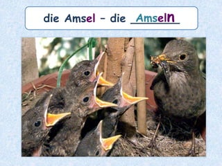 die Kausalität – die ___________Kausalitäten
 