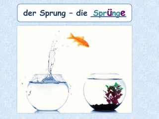 der Baum – die _________Bäume
 