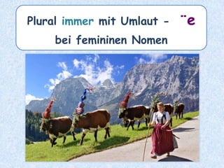 der Sprung – die _______Sprünge
 