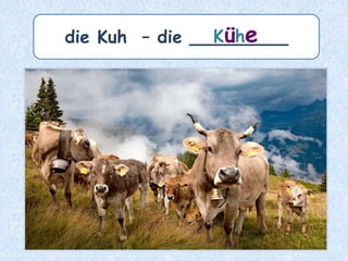 Plural mit -n
bei den maskulinen und neutralen
Nomen, die mit –e enden.
 