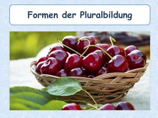 Formen der Pluralbildung
 