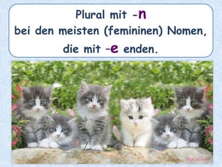 das Auge – die _______Augen
 