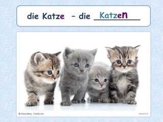 Plural mit –(e)n
bei allen maskulinen Nomen
der n-Deklination!
 