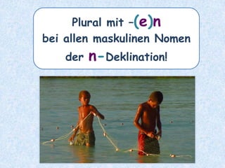 der Staat
–
die ________Staaten
 