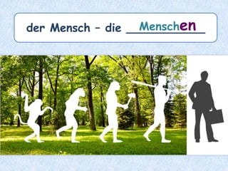 der Löffel – die _______Löffel
 