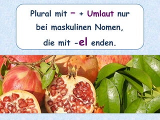 das Buch – die _______Bücher
 