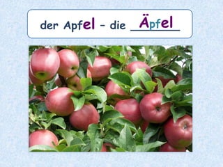 das Blatt – die _______Blätter
 