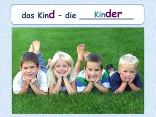 das Museum – die ________Museen
 