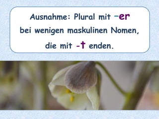 das Zentrum – die ________Zentren
 