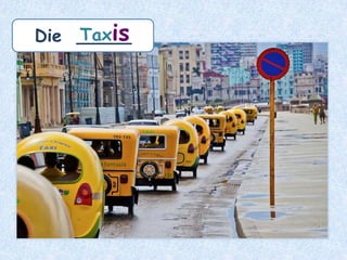 das Bildnis
–
die
__________Bildnisse
 