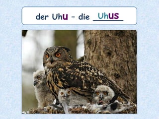 Plural mit Umlaut -¨e
bei femininen Nomen
 