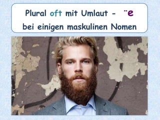 der Krebs – die ________Krebse
 