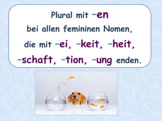 die Hoffnung – die ___________Hoffnungen
 