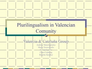 Plurilingualism in Valencian Comunity Valencia & Cataluña Group Andrew Manolopoulos María Teresa Gallo Sylvia Castillo Clara Calabuig Begoña Sánchez 