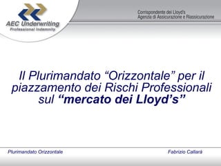 Il Plurimandato “Orizzontale” per il piazzamento dei Rischi Professionali sul  “mercato dei Lloyd’s” Plurimandato Orizzontale     Fabrizio Callarà  