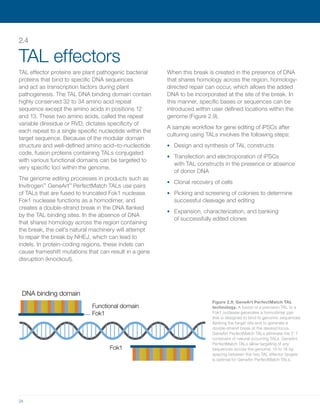 Pluripotent stem-cell-handbook-from-nature-and-thermoscience | PDF
