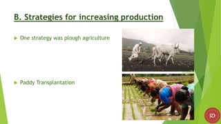 B. Strategies for increasing production
 One strategy was plough agriculture
 Paddy Transplantation
 