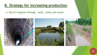 B. Strategy for Increasing production
 Use of irrigation through wells , tanks and canals
 