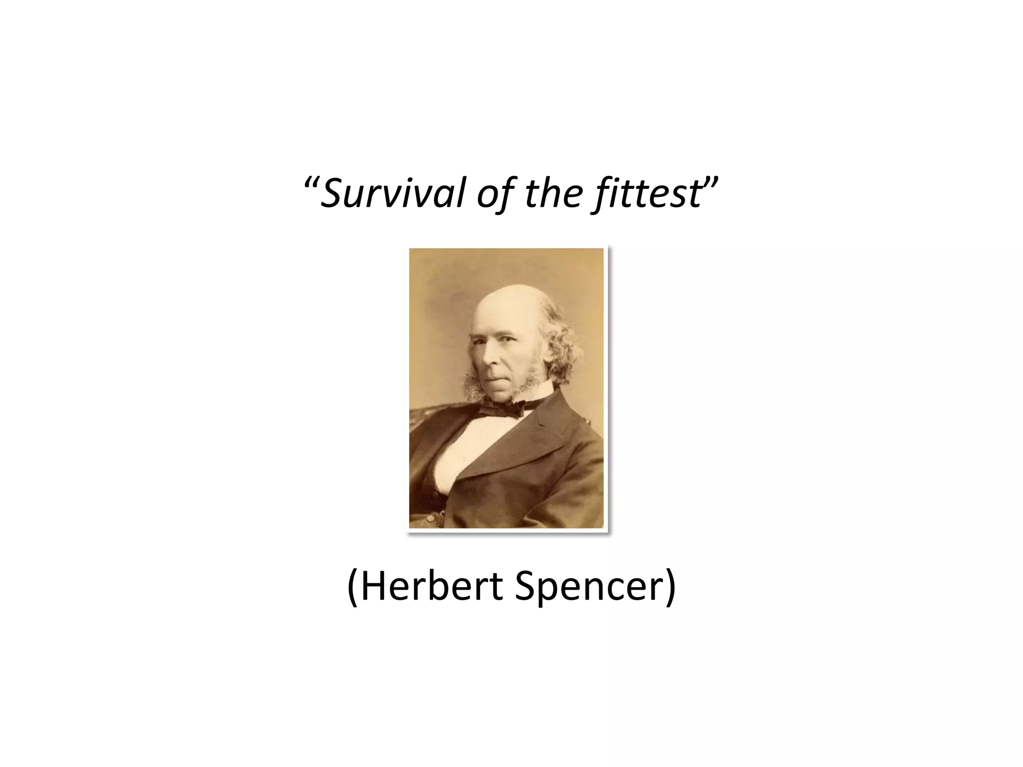 “Survival of the fittest”




  (Herbert Spencer)
 