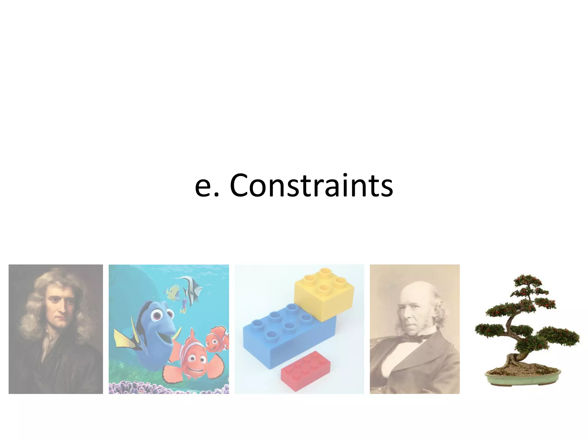 e. Constraints
 