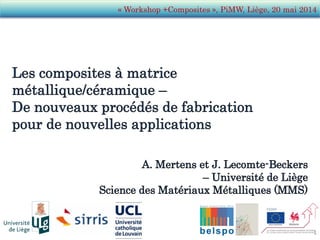 « Workshop +Composites », PiMW, Liège, 20 mai 2014
1
 
