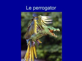 Le perrogator 