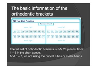 The basic information of the
orthodontic brackets
The full set of orthodontic brackets is 5-5, 20 pieces, from
1 – 5 in the chart above.
And 6 – 7, we are using the buccal tubes or molar bands.
 