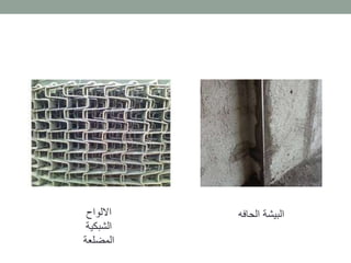 ‫االلواح‬
‫الشبكية‬
‫المضلعة‬
‫الحا‬ ‫البيشة‬‫فه‬
 