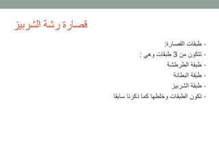 ‫الشربيز‬ ‫رشة‬ ‫قصارة‬
•‫القصارة‬ ‫طبقات‬:
•‫من‬ ‫تتكون‬3‫وهي‬ ‫طبقات‬:
•‫الطرطشة‬ ‫طبقة‬
•‫البطانة‬ ‫طبقة‬
•‫الشربيز‬ ‫طبقة‬
•‫سابقا‬ ‫ذكرنا‬ ‫كما‬ ‫وخلطها‬ ‫الطبقات‬ ‫تكون‬
 