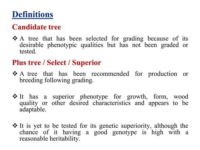 plus tree selection.pptx