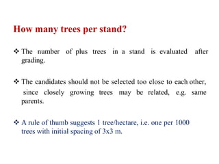 plus tree selection.pptx