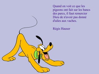 Quand on voit ce que les pigeons ont fait sur les bancs des parcs, il faut remercier Dieu de n'avoir pas donné d'ailes aux vaches. Régis Hauser  