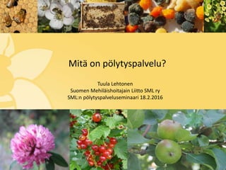 Mitä on pölytyspalvelu?
Tuula Lehtonen
Suomen Mehiläishoitajain Liitto SML ry
SML:n pölytyspalveluseminaari 18.2.2016
 