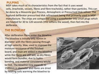 Market Survey on Plywood | PPTX