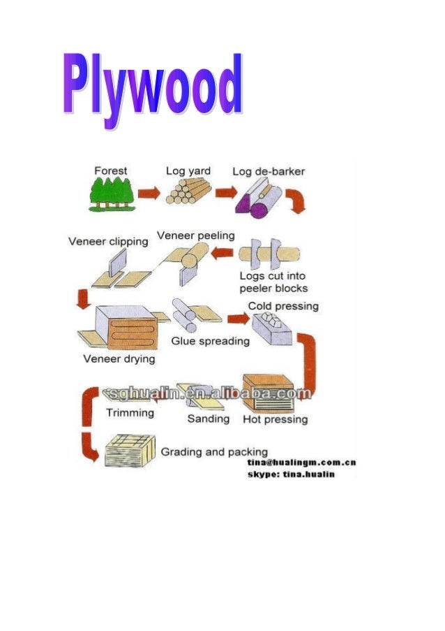 process of Plywood
