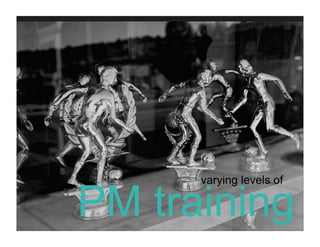 the one-person project management team