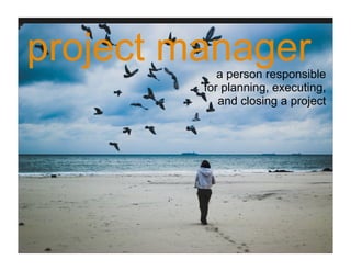 the one-person project management team