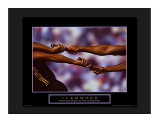 the one-person project management team