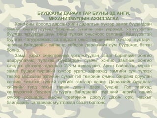 Pm | PPT
