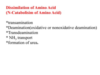 Dissimilation of Amino Acid
(N-Catabolisim of Amino Acid)
*transamination
*Deamination(oxidative or nonoxidative deamination)
*Transdeamination
* NH3 transport
*formation of urea.
 