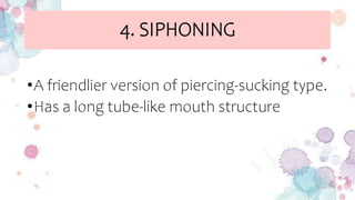 PM-6 major categories of insect.pptx